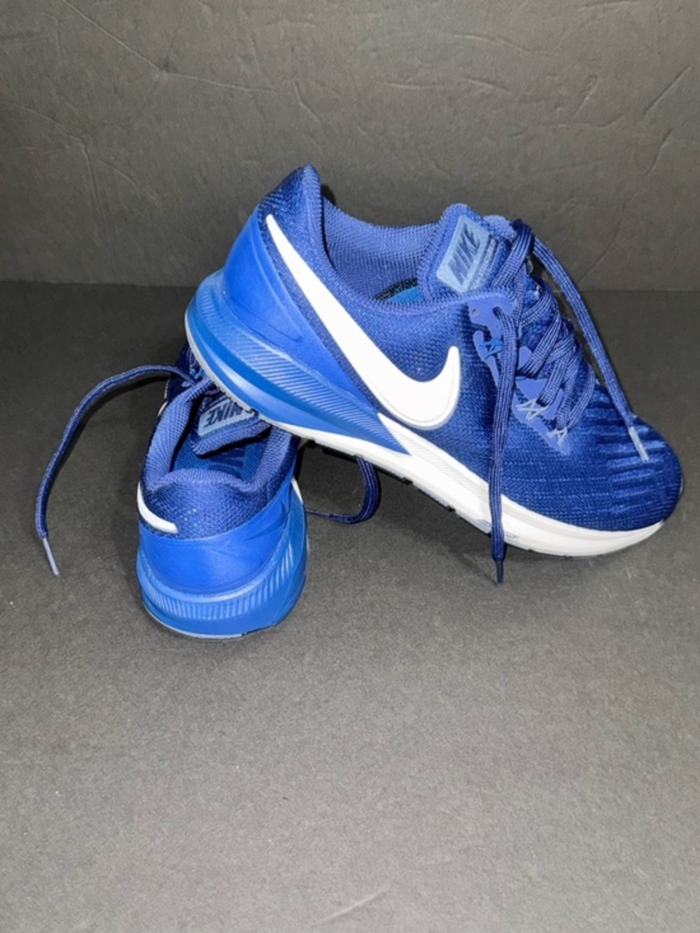 Nike I Men’s I Running I Royal Blue Sneakers